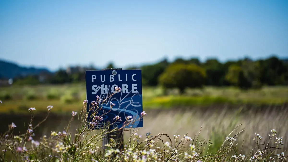 Public shore sign amidst blooming wildflowers in a tranquil rural meadow.