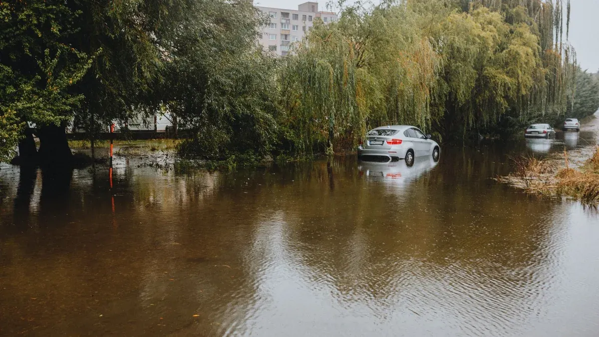 Cars stranded on a flooded street surrounded by tall trees. Rainy season aftermath.
