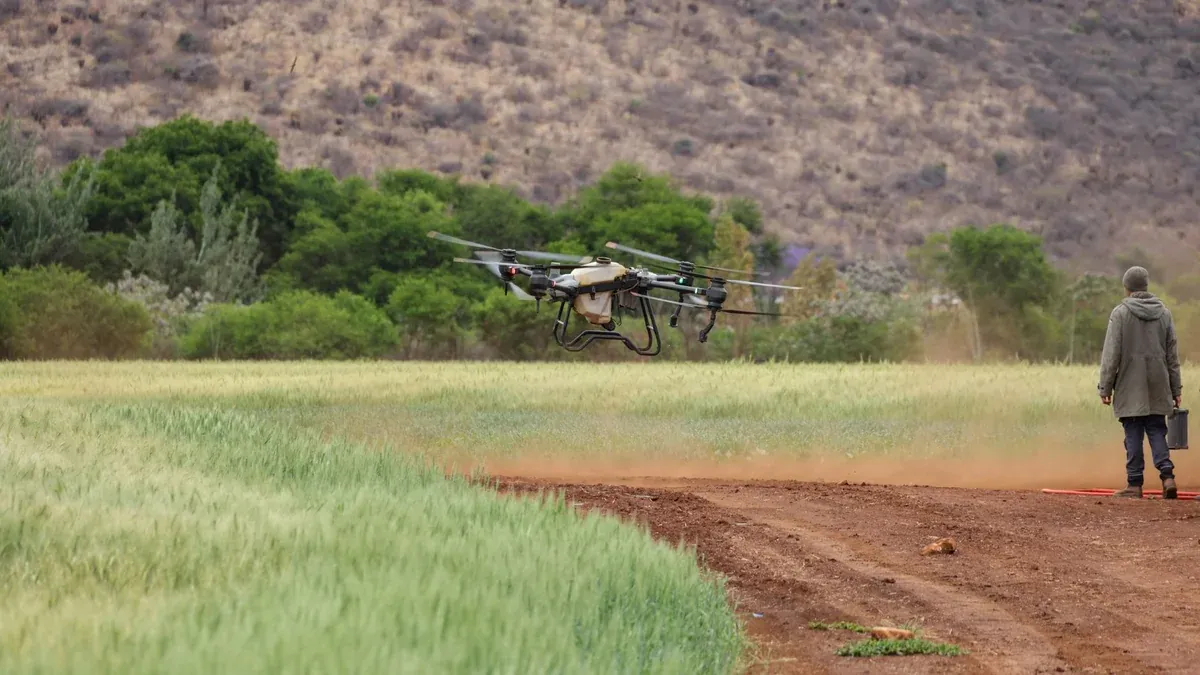 Drone operation by a farmer in a green agricultural field with mountainous backdrop.